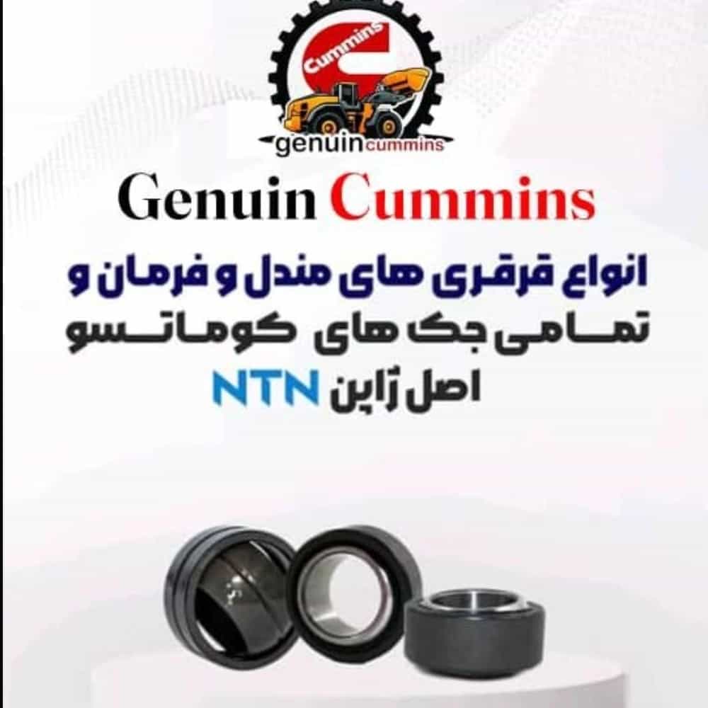 1765884003764.webp